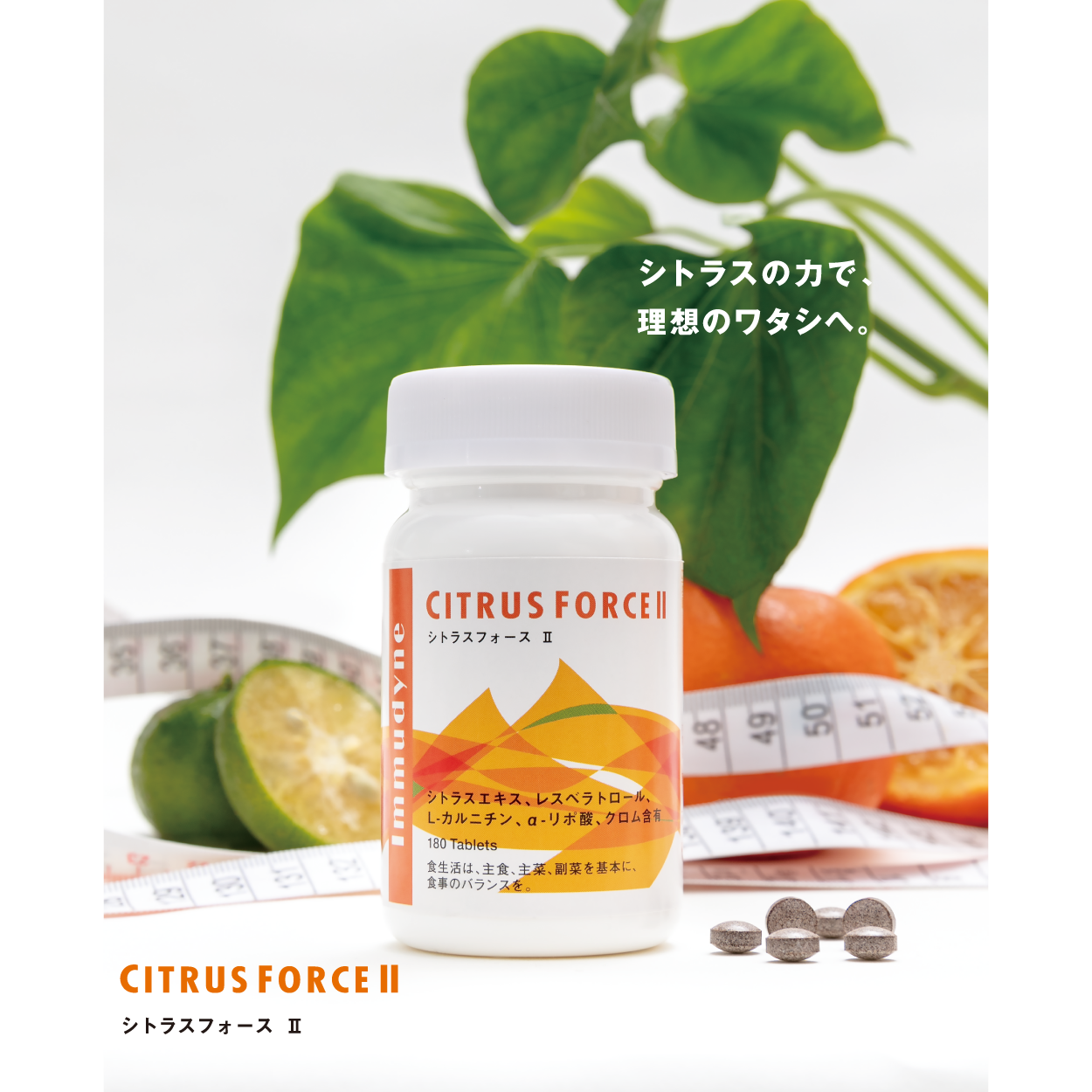 シトラスフォース Ⅱ