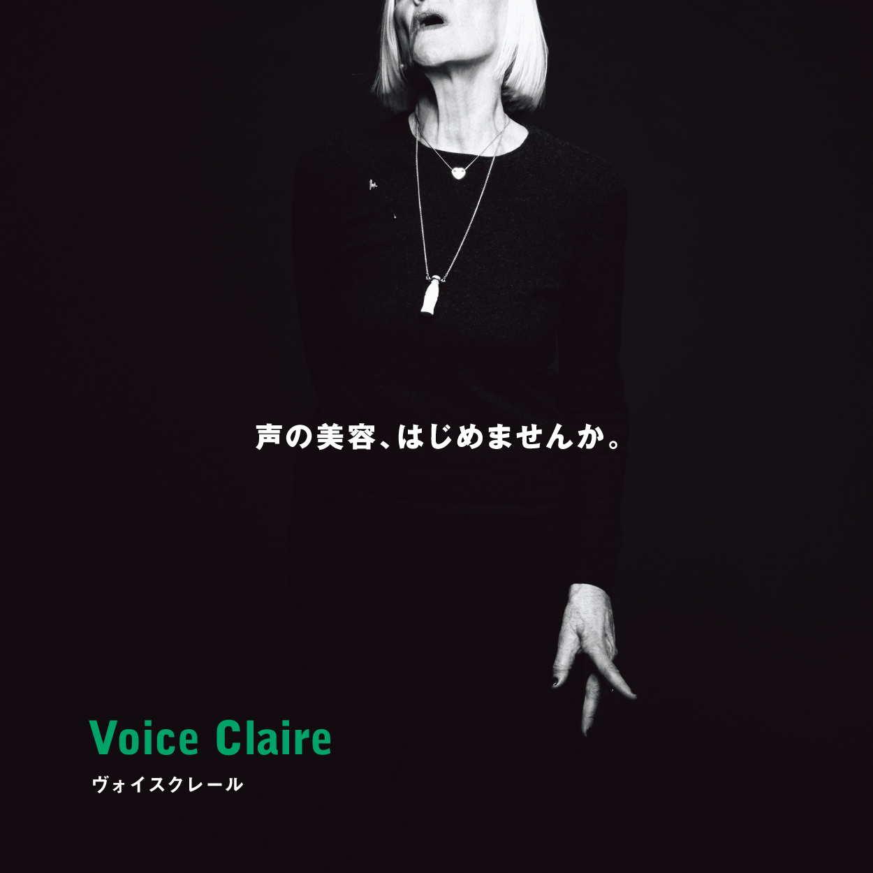 ヴォイスクレール トライアルサイズ(6粒)