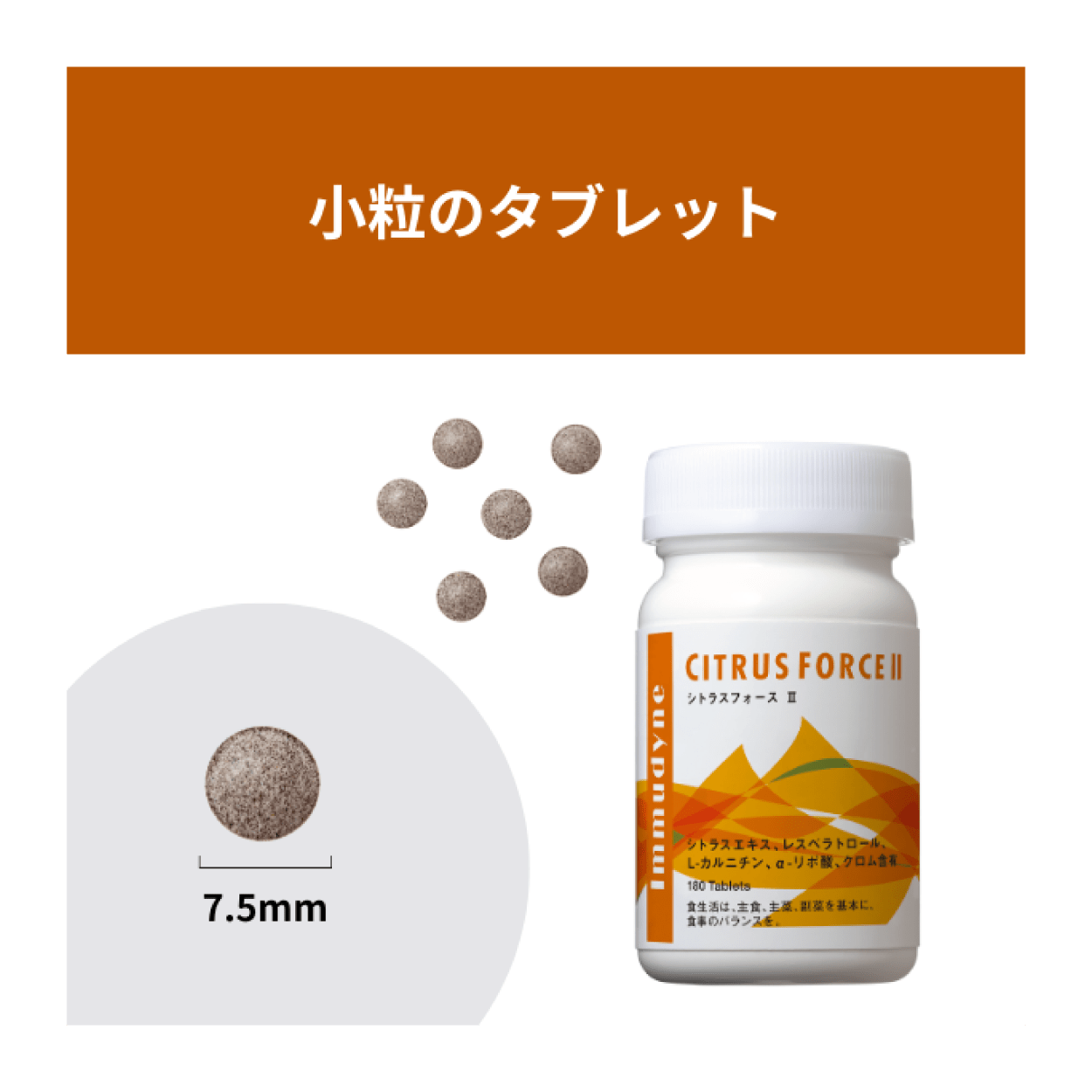 【定期便】シトラスフォース Ⅱ