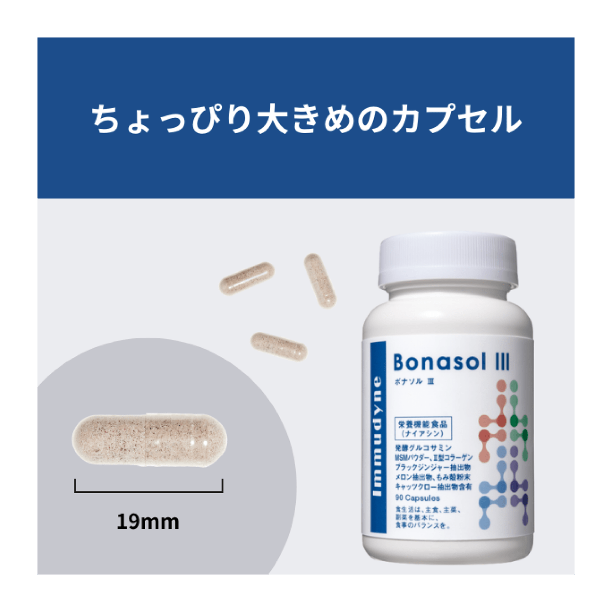 【定期便】ボナソルⅢ