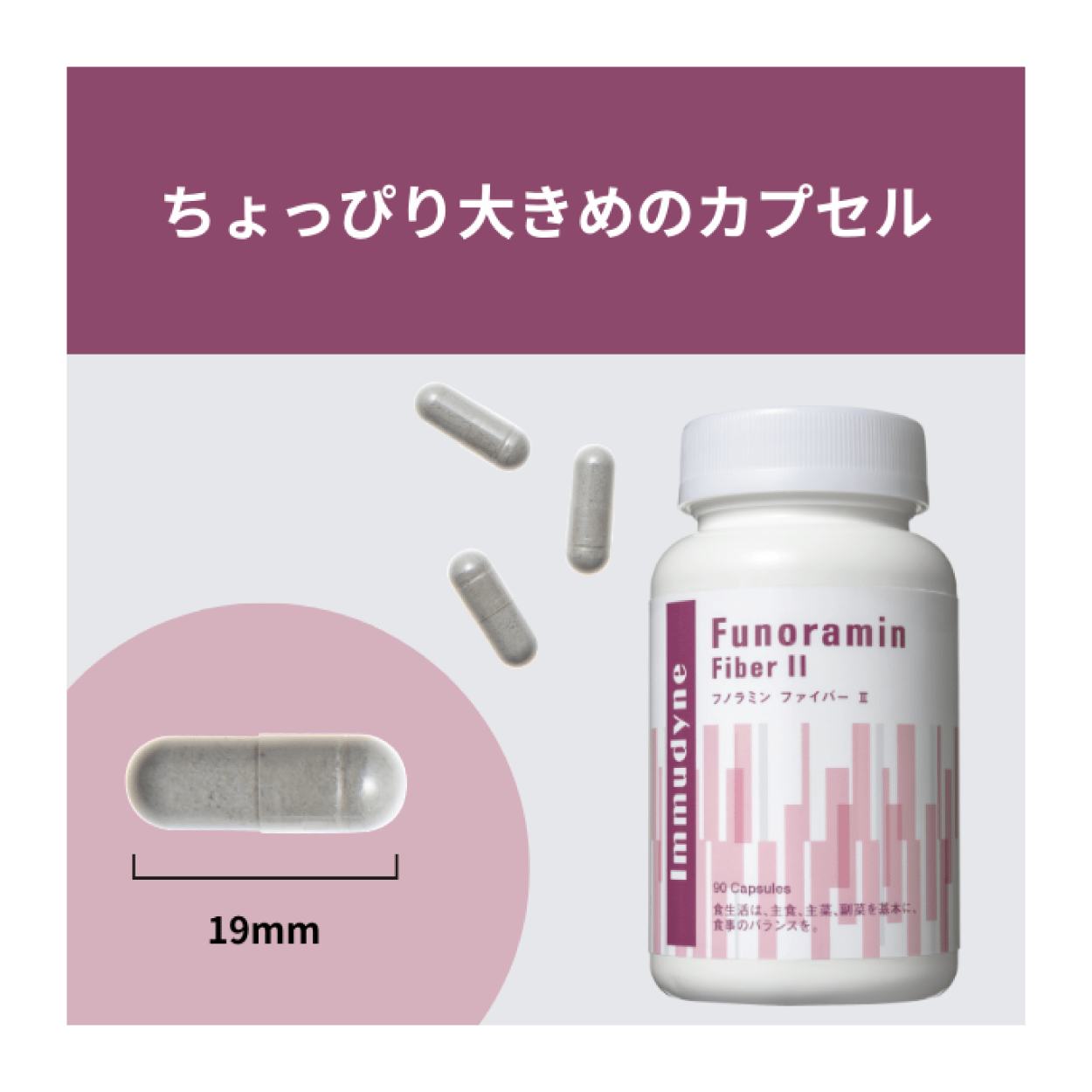 【定期便】フノラミン ファイバーⅡ