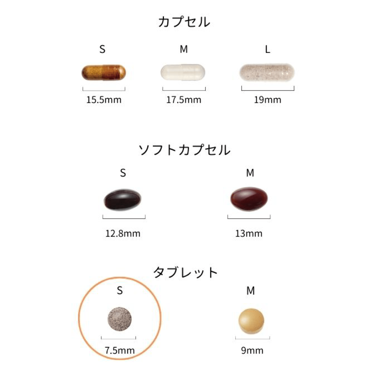 【定期便】シトラスフォース Ⅱ