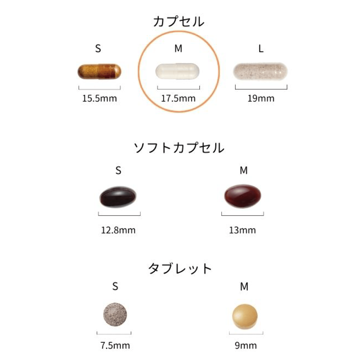 【定期便】ベラエータ